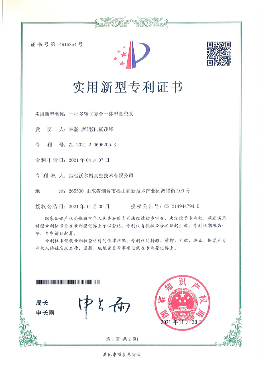 一種多轉(zhuǎn)子復(fù)合一體型真空泵