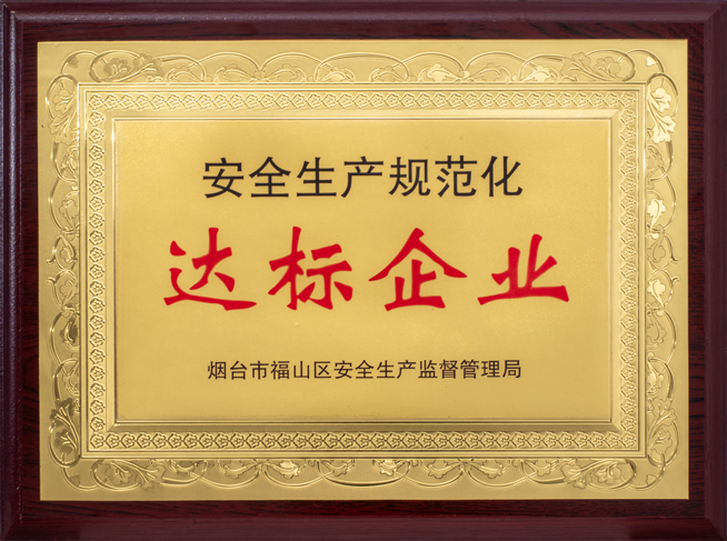 安全生產(chǎn)規(guī)范化達(dá)標(biāo)企業(yè)